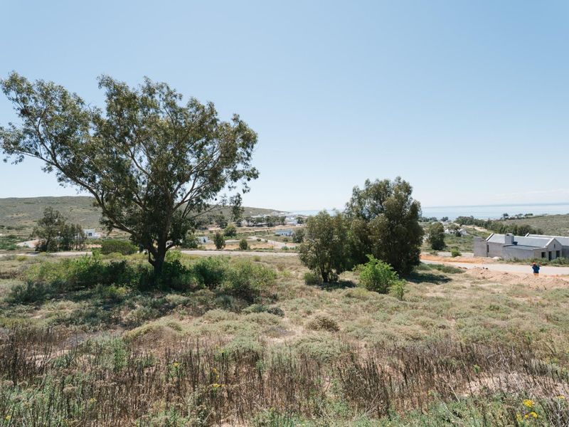 A scenic view overlooking the vacant residential land, featuring mature trees and distant coastal vistas in a peaceful setting.