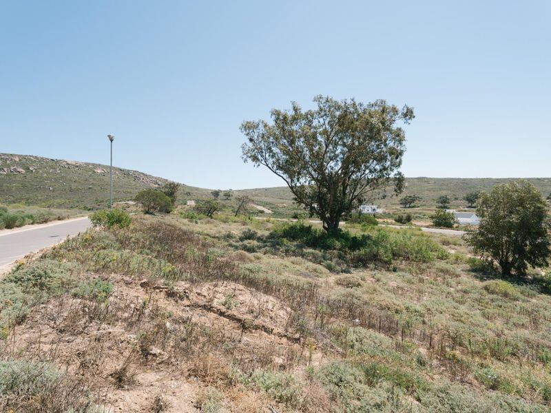 A view of a vacant residential plot featuring natural vegetation, a paved road, and a street light.