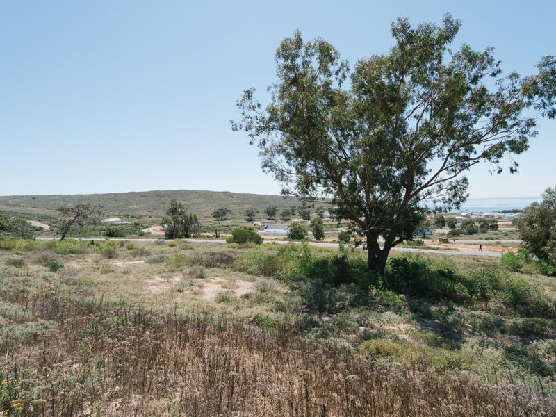 A scenic view of the vacant residential land featuring natural vegetation, mature trees, and surrounding landscape with distant coastal glimpses.