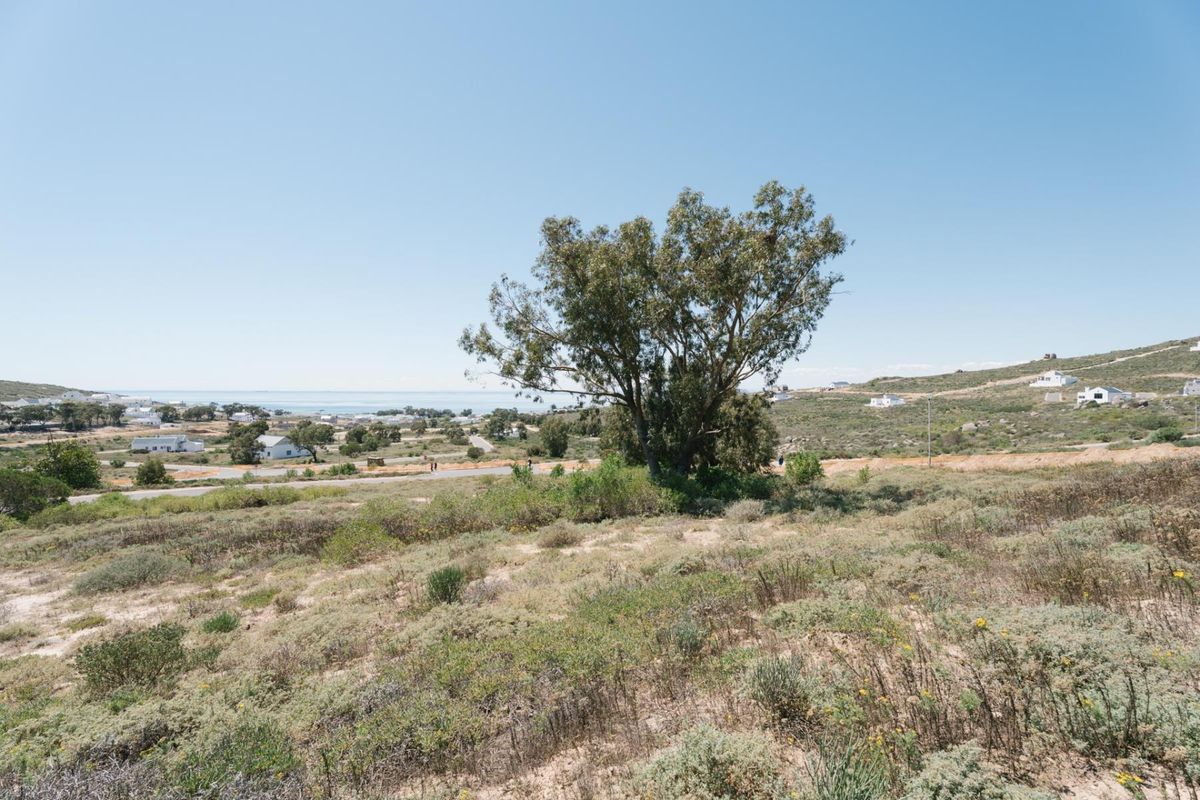 A scenic view overlooking the vacant residential land, featuring natural coastal vegetation and a mature tree with distant ocean views.