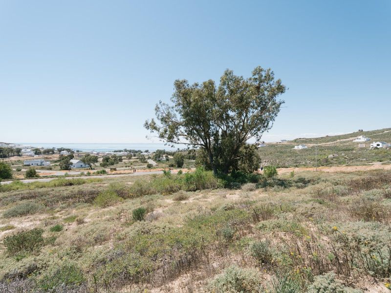 A scenic view overlooking the vacant residential land, featuring natural coastal vegetation and a mature tree with distant ocean views.