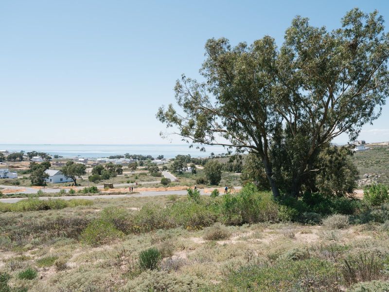 A scenic view overlooking the coastal landscape and surrounding residential area, featuring natural vegetation and mature trees.
