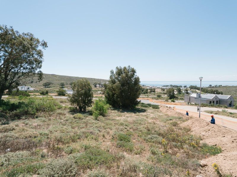 A view of a vacant residential plot featuring natural vegetation, mature trees, and access to a paved street with existing infrastructure.