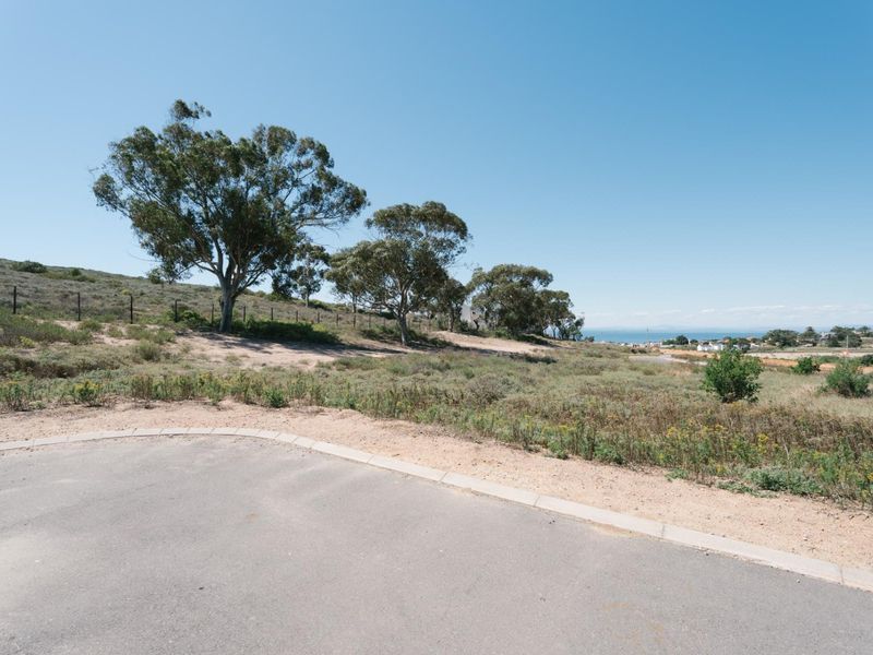 A vacant residential plot featuring natural vegetation, mature trees, and established road access with concrete curbing, offering potential for future development.
