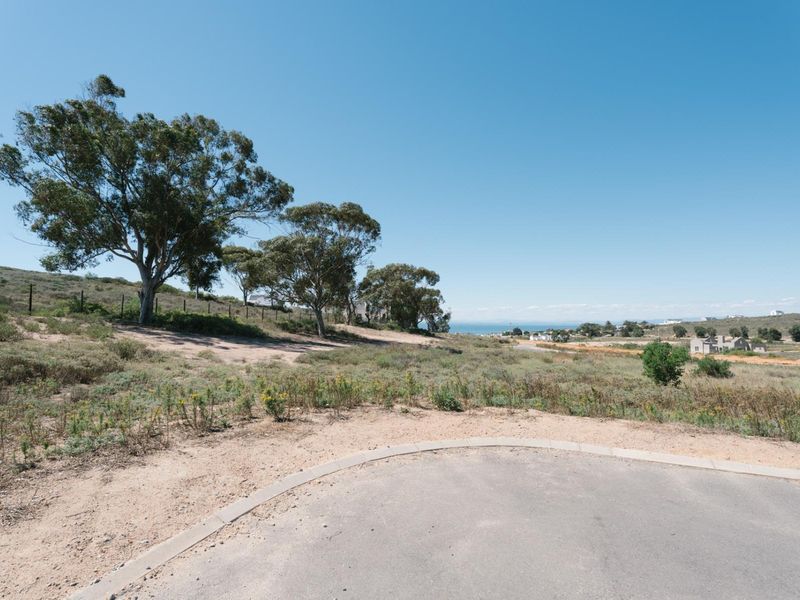 A vacant residential plot featuring natural vegetation, mature trees, and distant coastal views, accessible from a paved road.