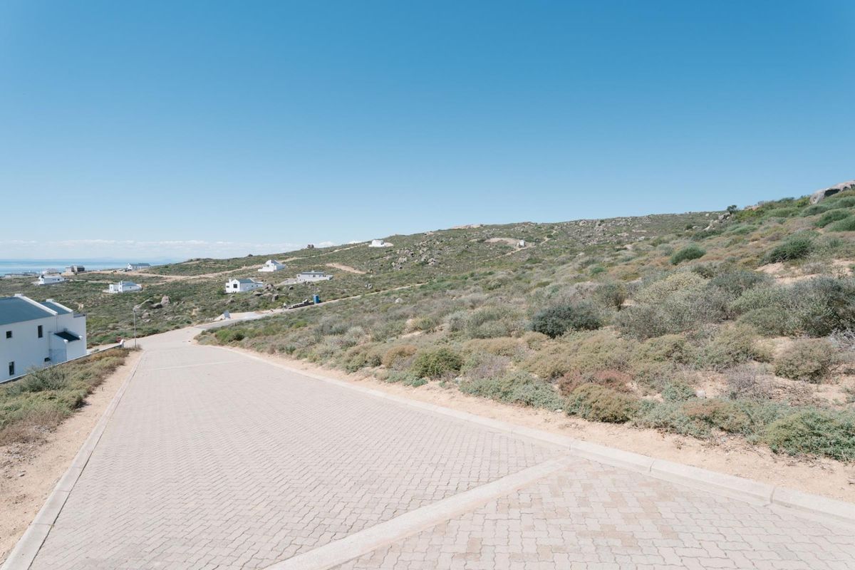 A view of a paved residential street leading through a coastal hillside development with natural vegetation.