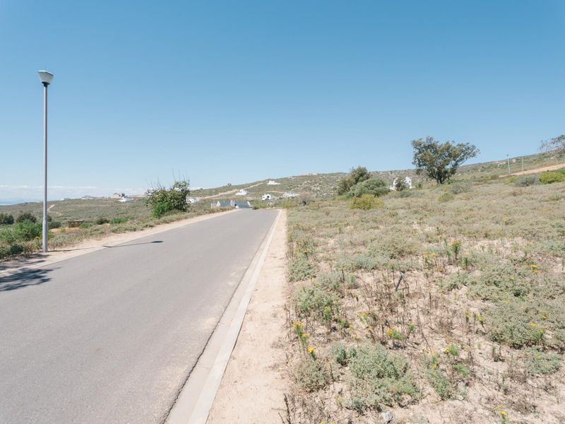A view of the paved street frontage and adjacent vacant residential land with natural vegetation and a street light.