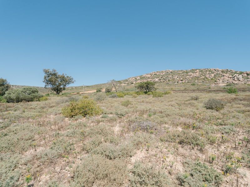 A view of the vacant residential land featuring natural vegetation and rocky terrain under a clear blue sky.