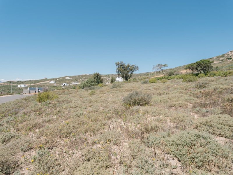 A view of a vacant residential plot featuring natural vegetation and a gentle slope, situated in a quiet coastal or rural residential area.