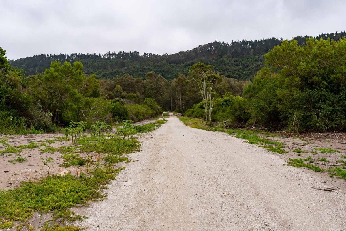 A view of an unpaved access road leading through a natural, wooded landscape, showcasing the property's rural setting and surrounding vegetation.