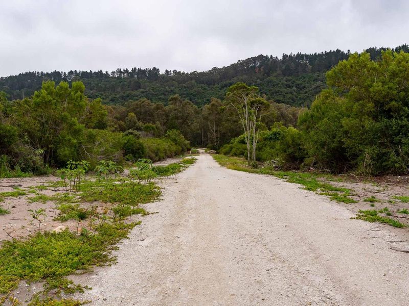 A view of an unpaved access road leading through a natural, wooded landscape, showcasing the property's rural setting and surrounding vegetation.