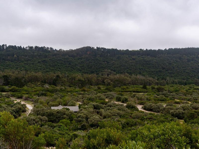 A scenic elevated view of a lush, forested landscape with dense native vegetation and a distant hillside under a cloudy sky.