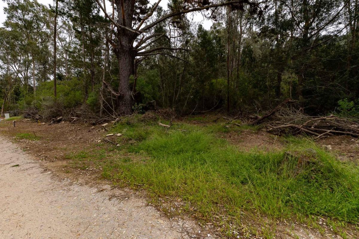 A view of a vacant residential plot featuring mature trees and natural vegetation, offering a blank canvas for future development.
