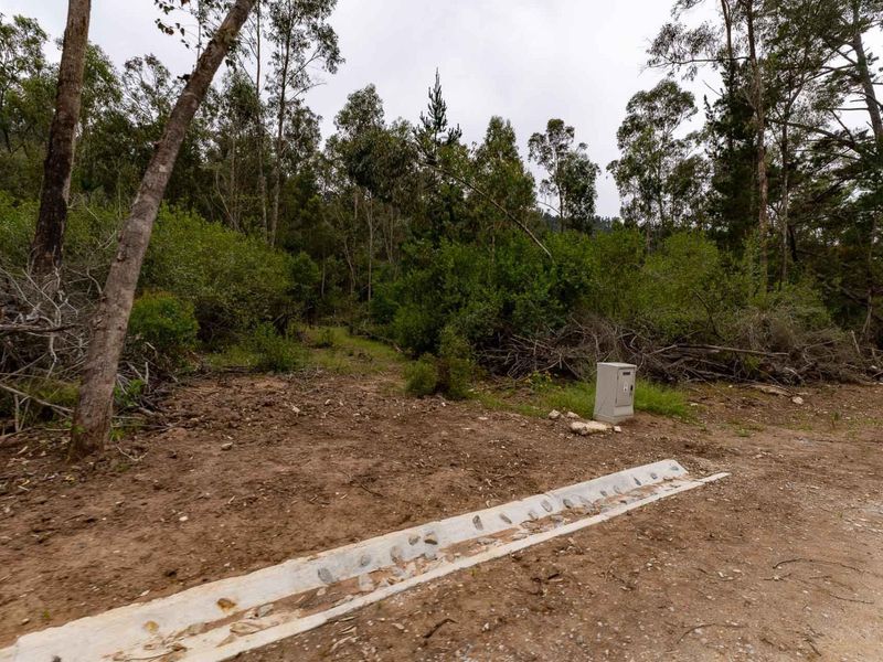 A view of the vacant residential land featuring a concrete drainage channel and an electrical utility box, surrounded by established trees and natural vegetation.