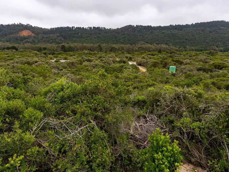 An elevated view of a densely vegetated residential land plot featuring native bushland and a visible water tank against a backdrop of forested hills.