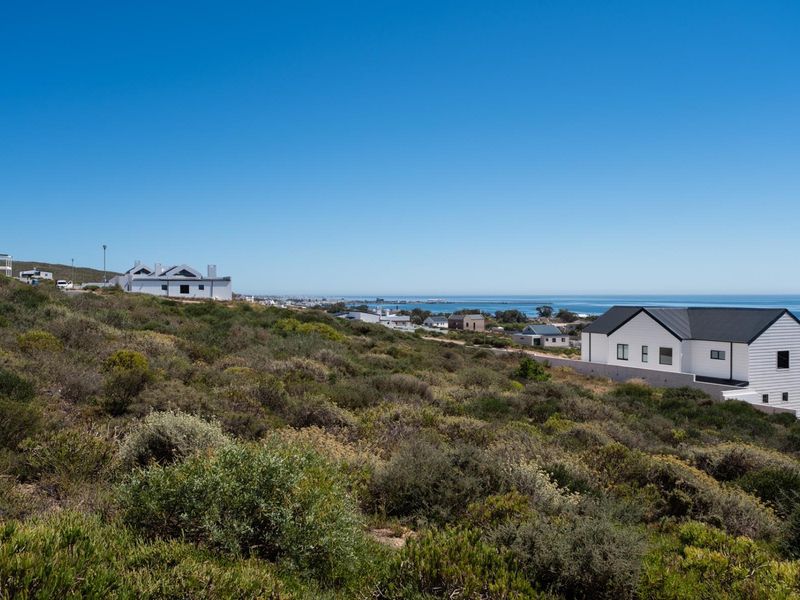 A scenic elevated view overlooking a coastal residential area with native vegetation in the foreground and the ocean in the distance.