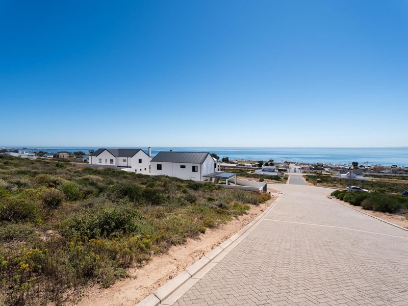 A clear street view of the residential area featuring a paved driveway, coastal vegetation, and a scenic ocean backdrop.