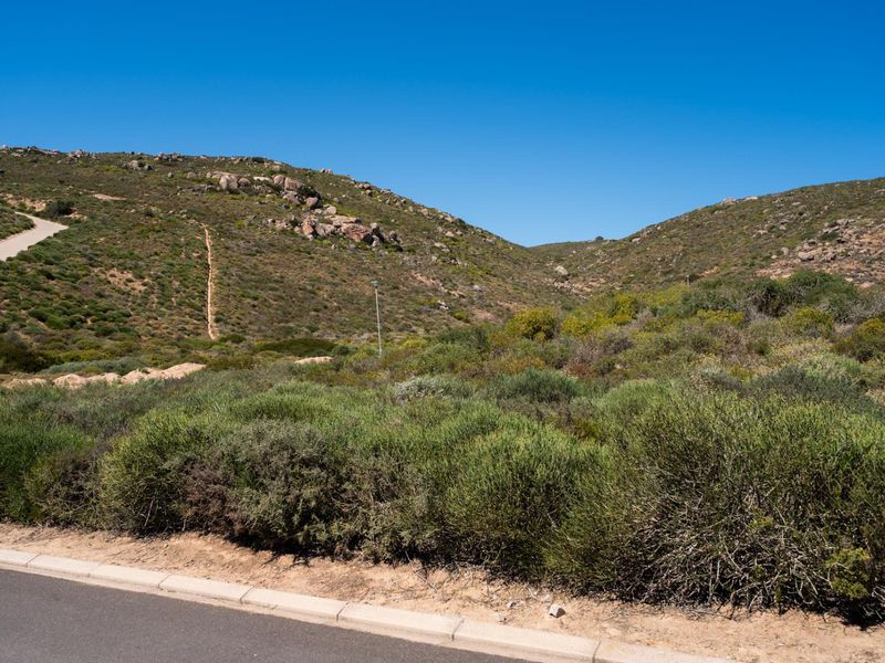 A view of a vacant residential plot featuring natural fynbos vegetation, adjacent to a paved road with concrete curbing.