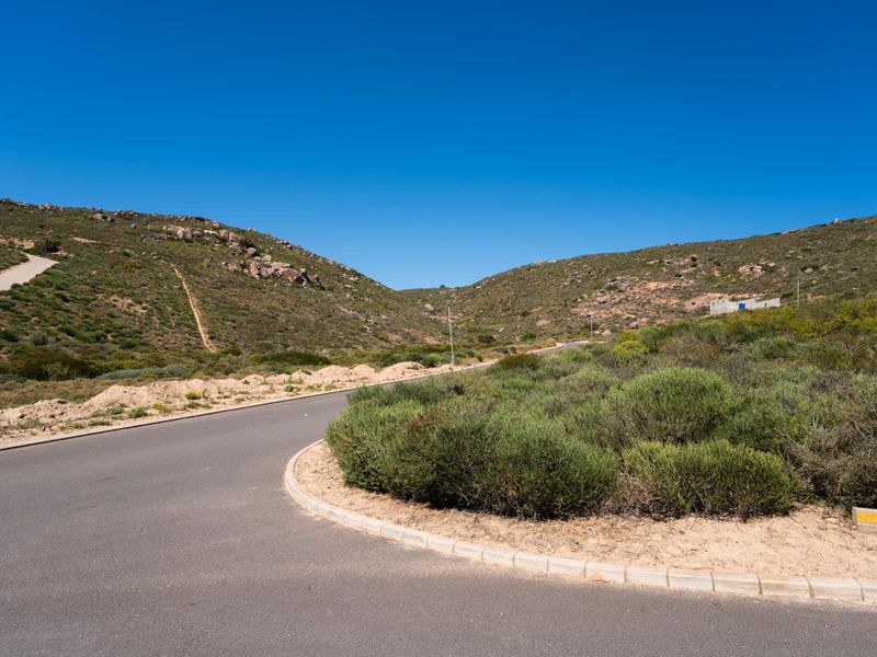 A view of a paved residential street winding through a natural, hilly landscape with native vegetation.