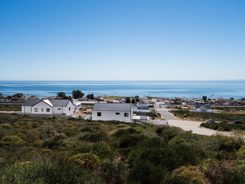 An elevated aerial view of a coastal residential area featuring modern homes, natural vegetation, and expansive ocean views.