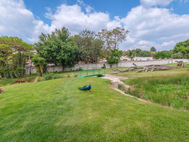 Expansive landscaped garden featuring a small pedestrian bridge, mature trees, and a secure precast concrete boundary wall.