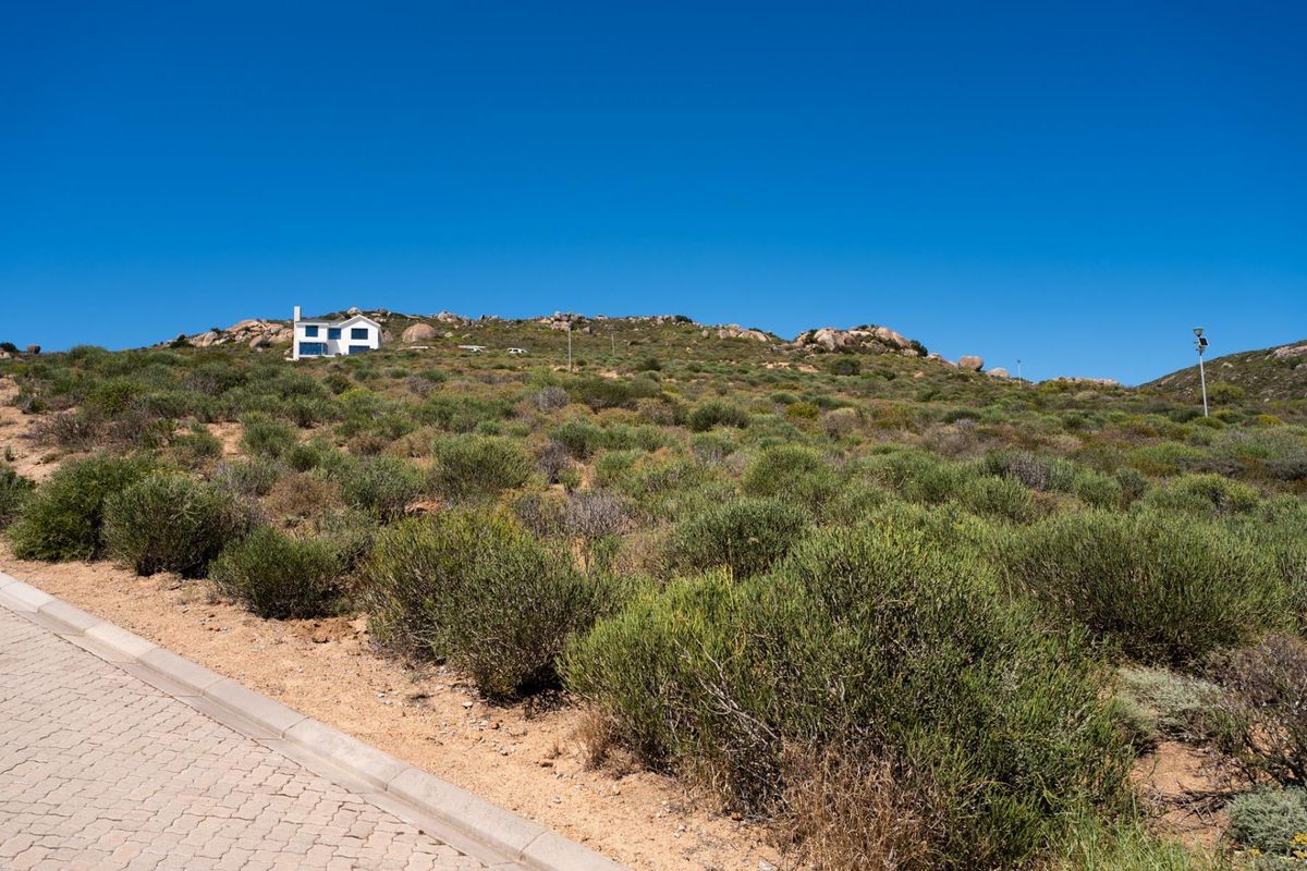 A view of a vacant residential plot featuring natural fynbos vegetation, paved driveway access, and a distant view of a neighboring property.