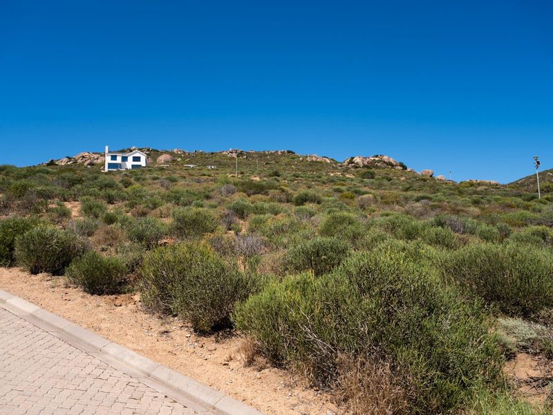 A view of a vacant residential plot featuring natural fynbos vegetation, paved driveway access, and a distant view of a neighboring property.