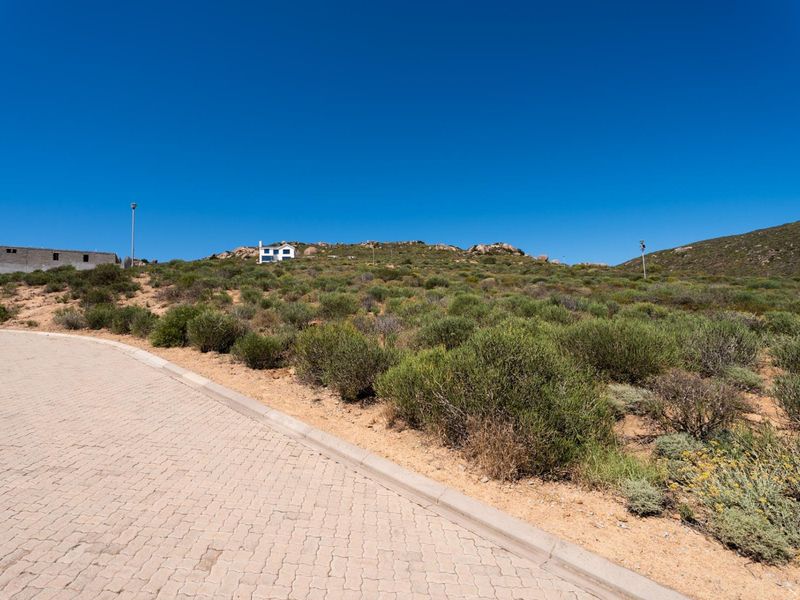 A view of a vacant residential plot featuring a paved driveway, concrete curbing, and natural vegetation with a clear blue sky.
