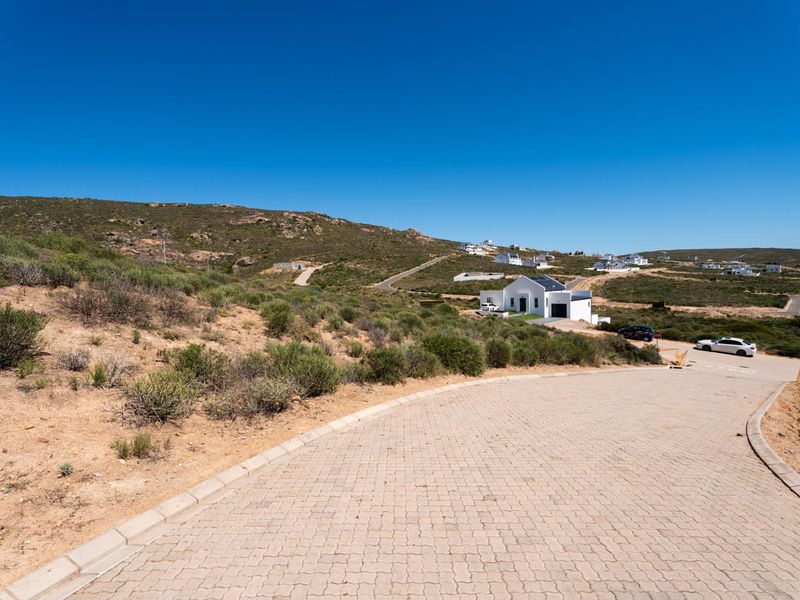 A view of the paved street and surrounding residential landscape in a coastal estate setting.
