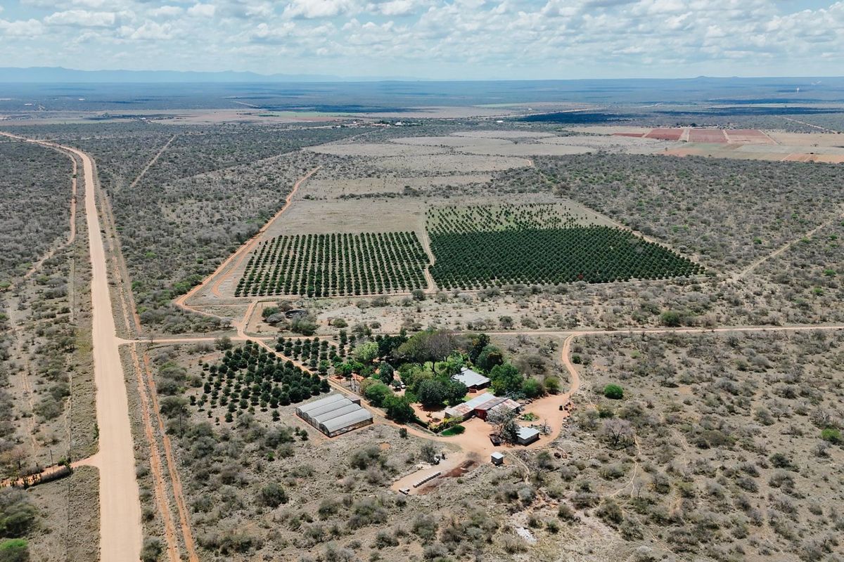 Aerial view of a large farm property featuring extensive orchards, multiple outbuildings, and surrounding natural landscape.