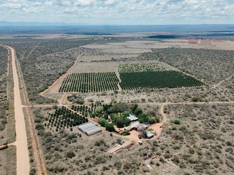 Aerial view of a large farm property featuring extensive orchards, multiple outbuildings, and surrounding natural landscape.