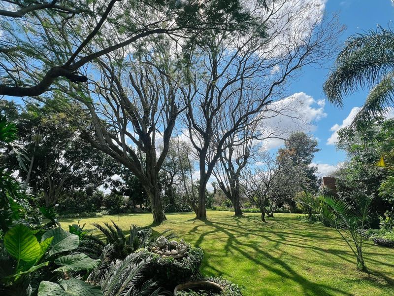 A spacious, well-maintained garden featuring mature trees, lush green lawn, and established landscaping, providing a serene outdoor environment.