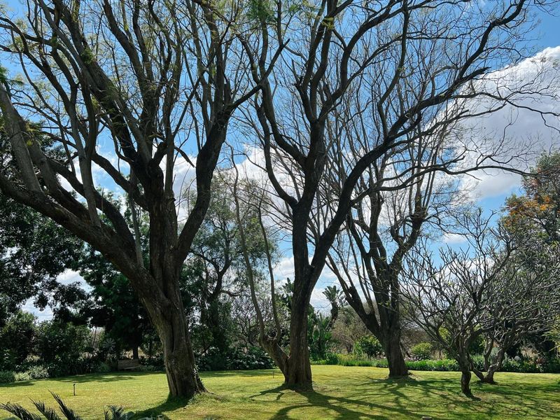A spacious, well-maintained garden area featuring mature trees and expansive green lawn, providing a serene outdoor setting on the farm property.