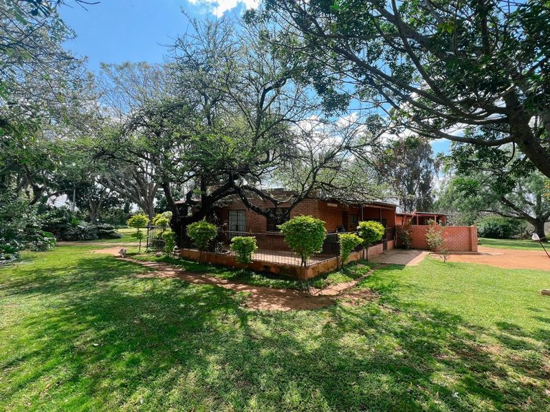 Rear view of a brick farmhouse featuring a covered patio area, surrounded by mature trees and expansive lawn space.