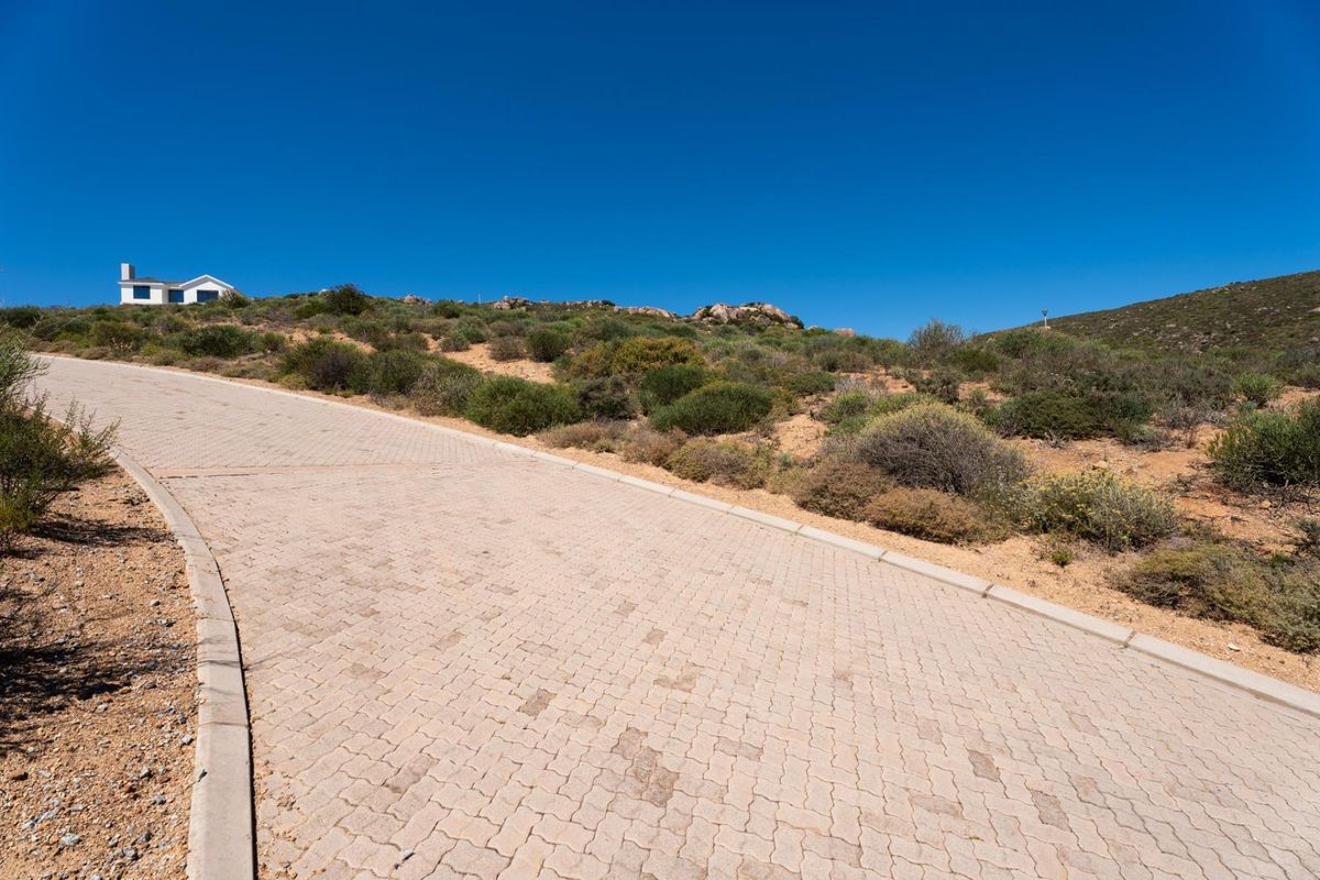 A paved residential driveway leading up a gentle slope, surrounded by natural coastal vegetation and clear blue skies.