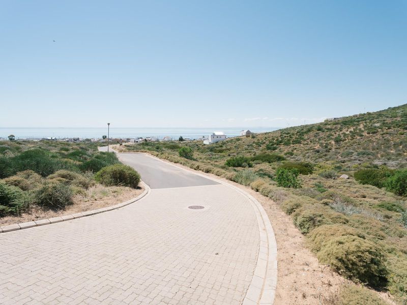A view of a paved residential street leading through a coastal landscape with native vegetation and distant ocean views.