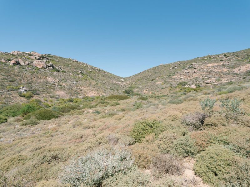 A scenic view of the natural landscape featuring rocky hills and native vegetation on this vacant residential land.