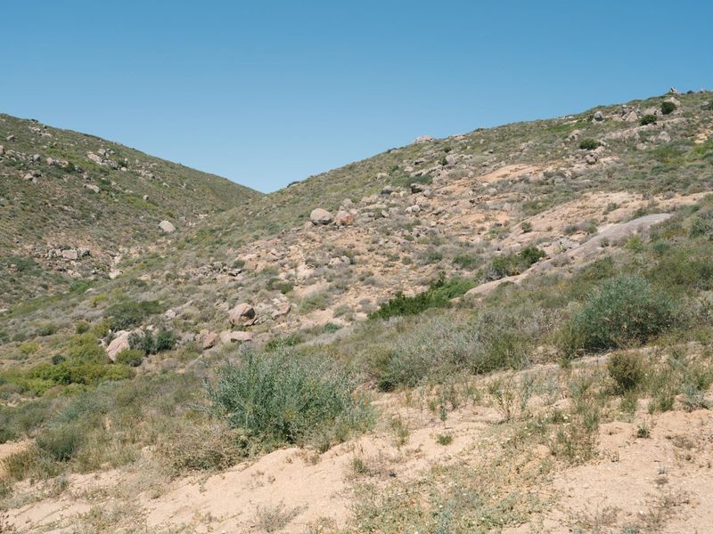 A scenic view of the natural, rocky hillside landscape featuring native vegetation and rugged terrain.