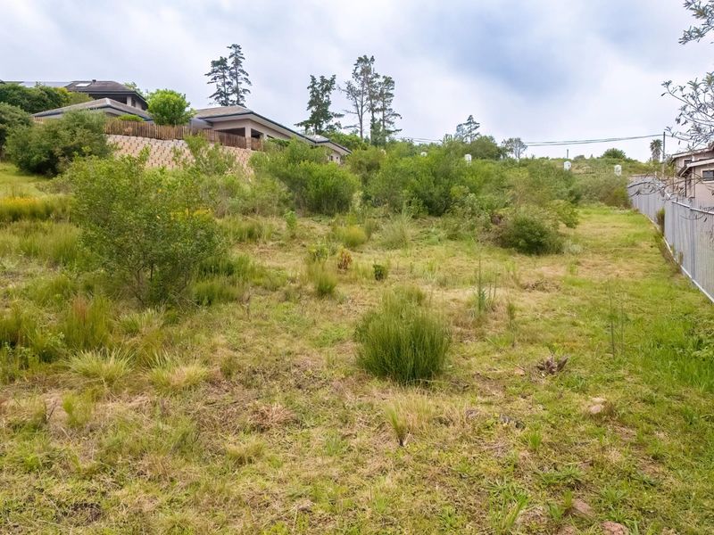 A sloped vacant residential plot featuring natural vegetation, perimeter fencing, and a retaining wall along the upper boundary.