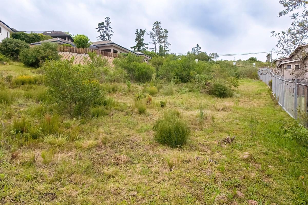 A sloped vacant residential plot featuring natural vegetation, perimeter fencing, and a retaining wall along the upper boundary.