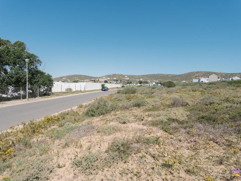 A view of the vacant residential land adjacent to an asphalt street, featuring natural vegetation and surrounding neighborhood infrastructure.