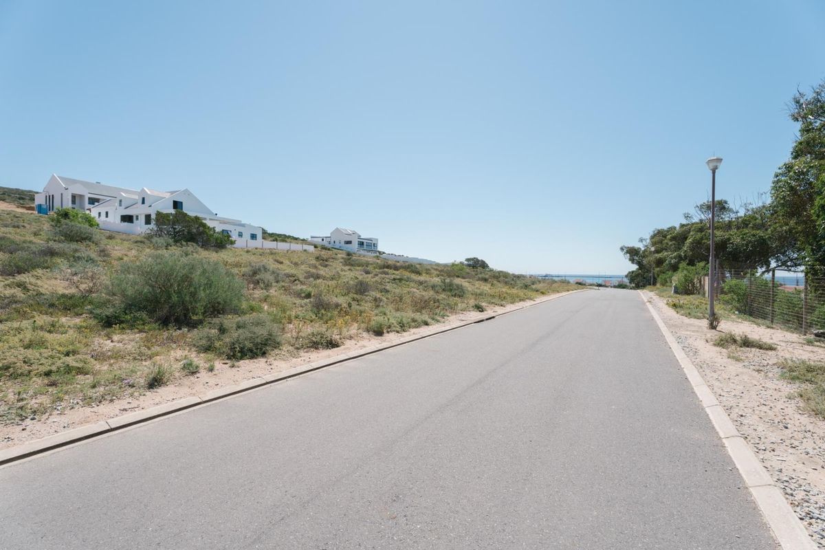 A clear street view showing the paved road, concrete curbing, and street lighting adjacent to the residential land plot.