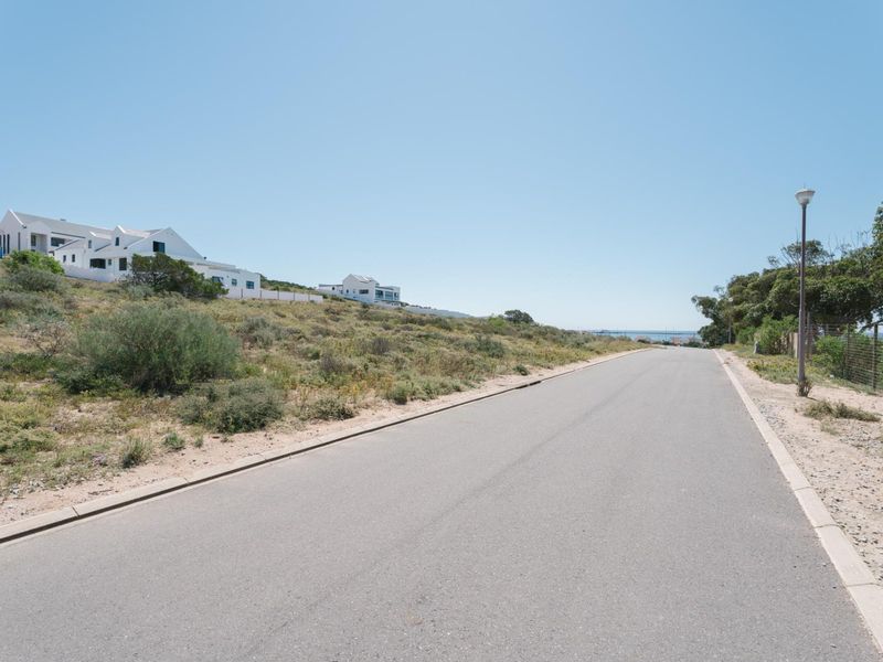 A clear street view showing the paved road, concrete curbing, and street lighting adjacent to the residential land plot.