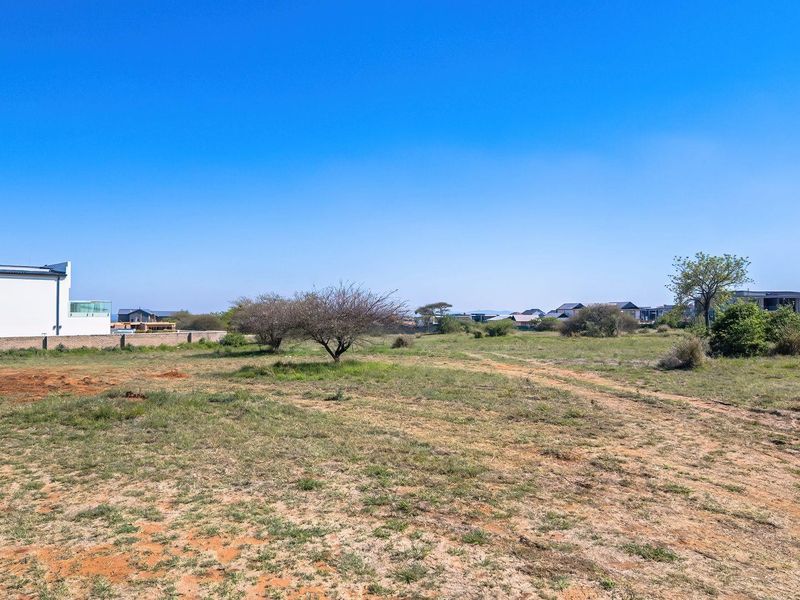A vacant residential plot featuring natural vegetation, a boundary wall, and clear views of the surrounding neighborhood.
