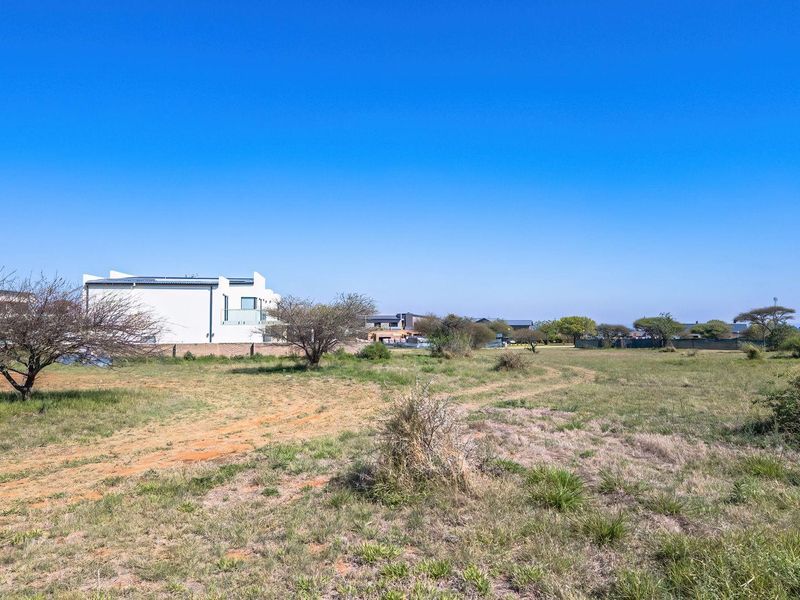 A view of a vacant residential plot featuring natural vegetation and a utility pole, situated in a developed neighborhood.