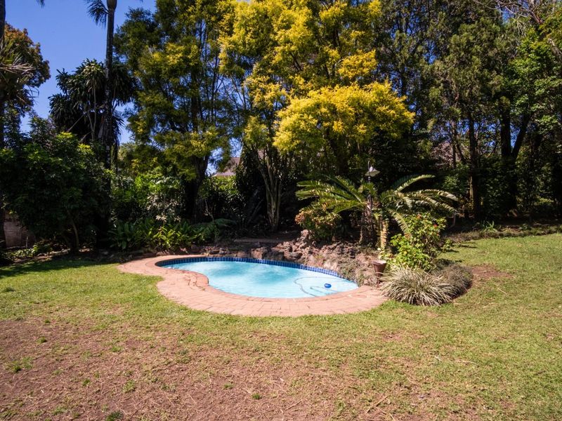 A private swimming pool set within a lush, mature garden featuring brick coping and natural rockery elements.