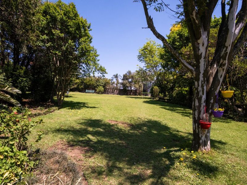 A spacious, well-maintained private garden featuring a large lawn area surrounded by mature trees and established boundary walls.
