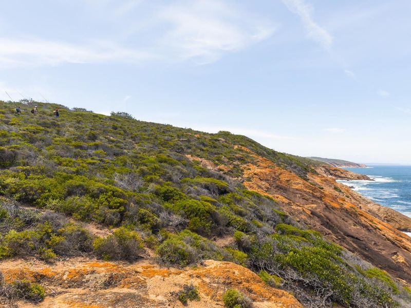 A scenic view of the coastal landscape featuring natural vegetation and rocky terrain overlooking the ocean.