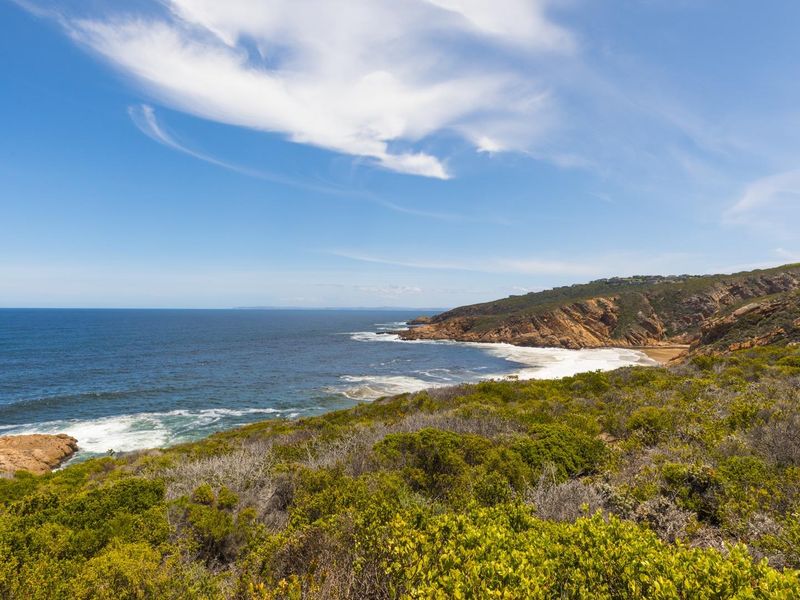 A scenic view of the rugged coastline, featuring natural vegetation, rocky cliffs, and the ocean.