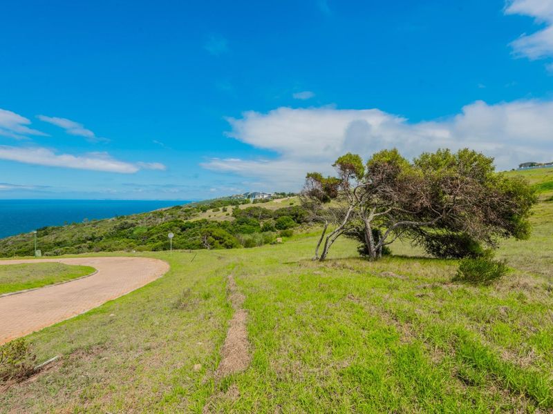 A scenic view of the coastal landscape and surrounding greenery from the vacant residential land.